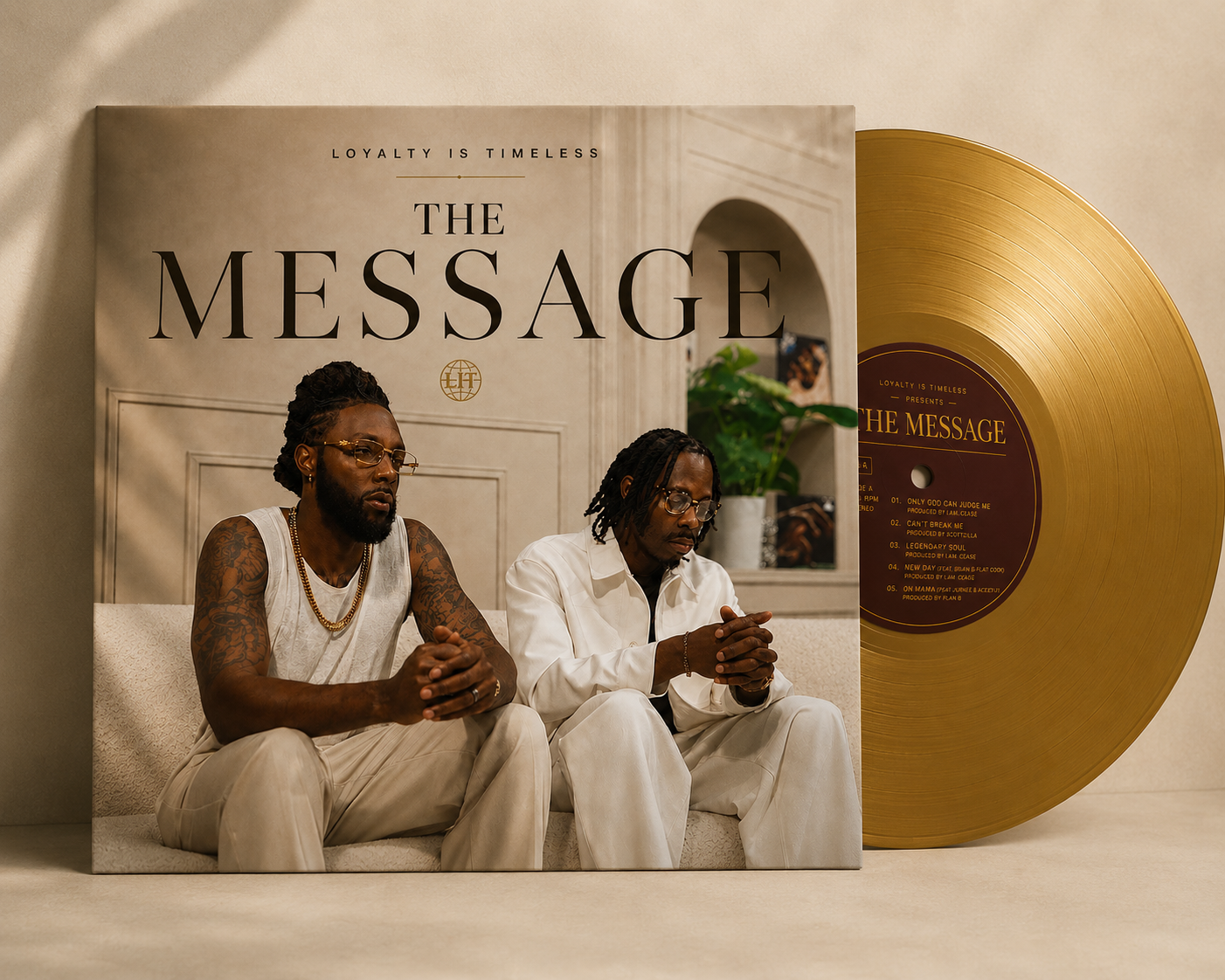 Album - The Message (Vinyl Record)